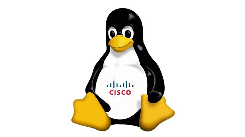 Managing IOS-XR Linux Environment over SSH